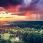 Paragnost Storm